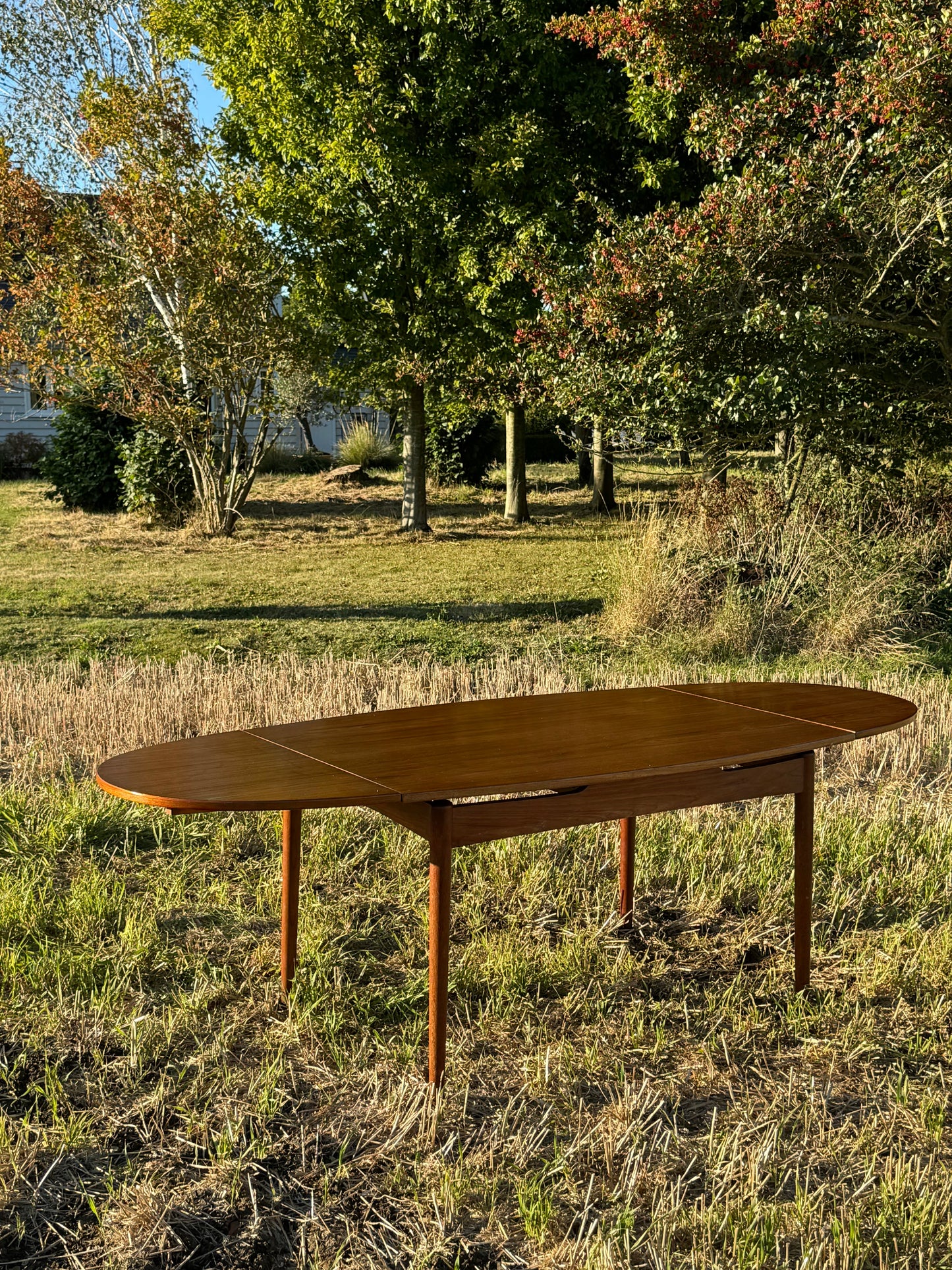 Vintage Mid Century Modern Scandinavian Extending Dining table 1960s